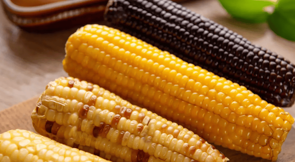 ee556151b85944508b70293c793f71ec.png ee556151b85944508b70293c793f71ec.png